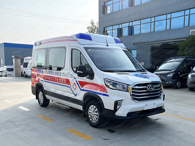 Тип мониторинга Datong V90