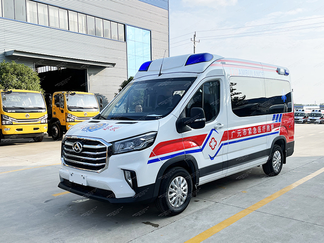 Тип мониторинга Datong V90